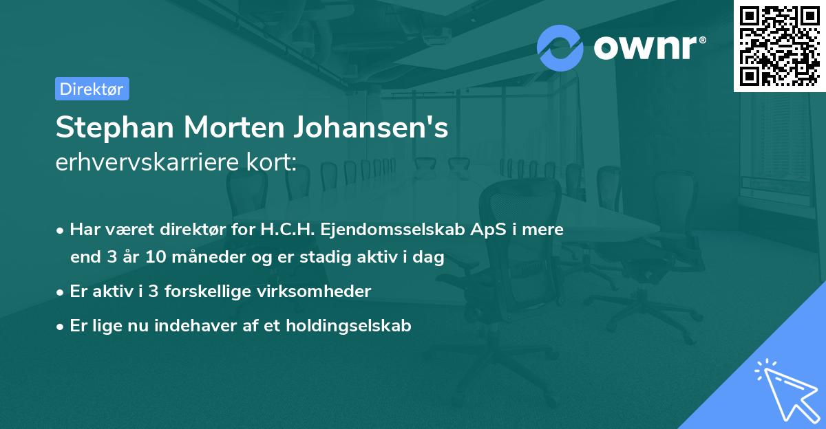 Stephan Morten Johansen's erhvervskarriere kort