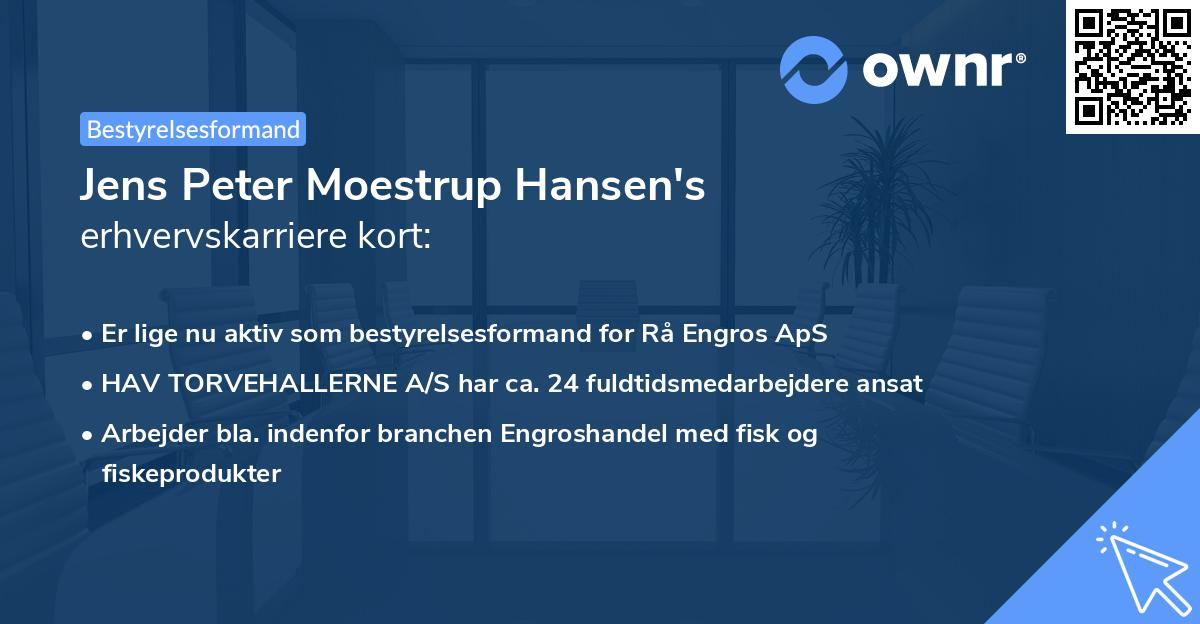 Jens Peter Moestrup Hansen's erhvervskarriere kort