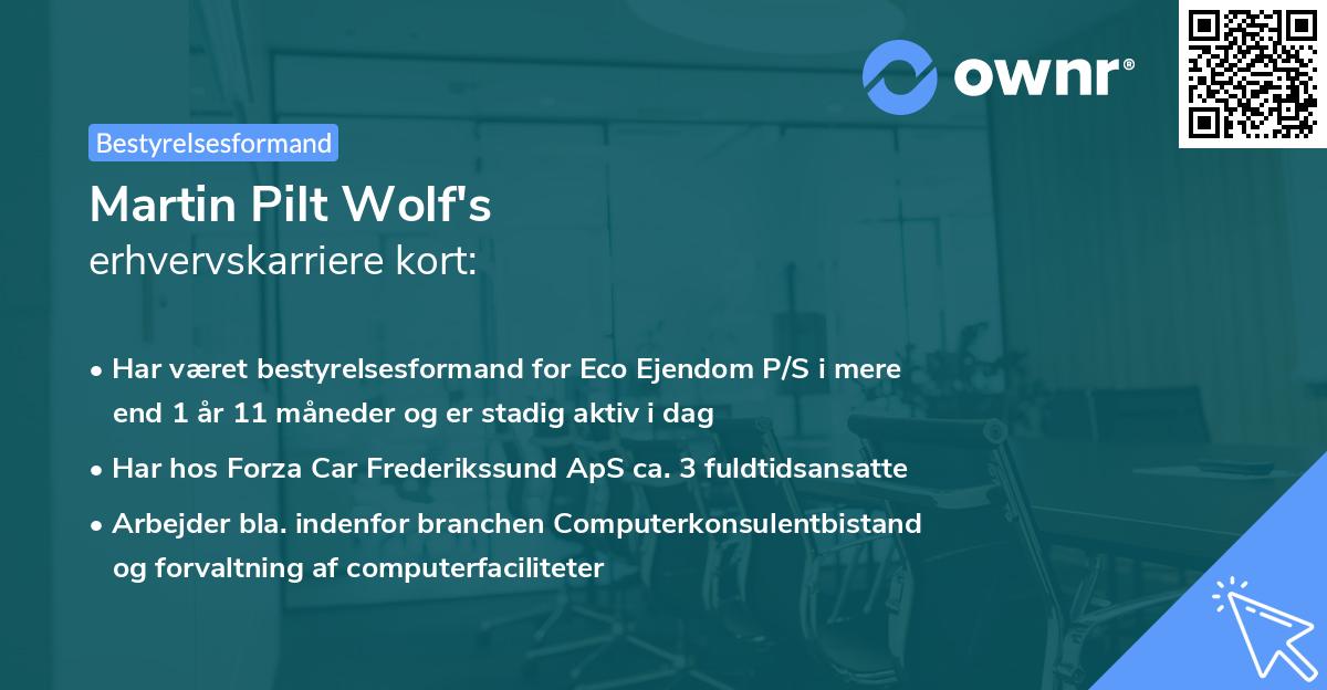 Martin Pilt Wolf's erhvervskarriere kort