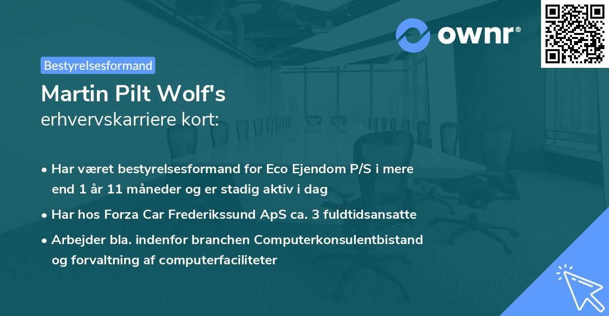 Martin Pilt Wolf's erhvervskarriere kort