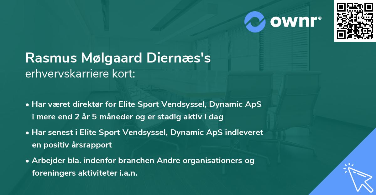 Rasmus Mølgaard Diernæs's erhvervskarriere kort