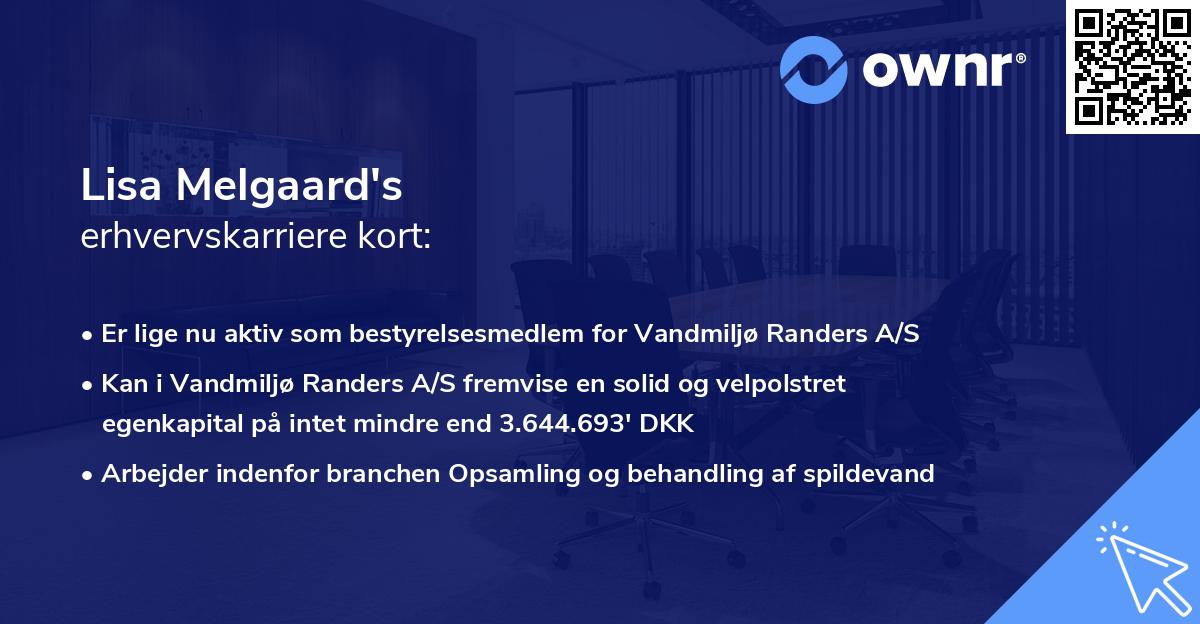 Lisa Melgaard's erhvervskarriere kort