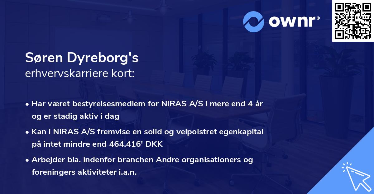 Søren Dyreborg's erhvervskarriere kort