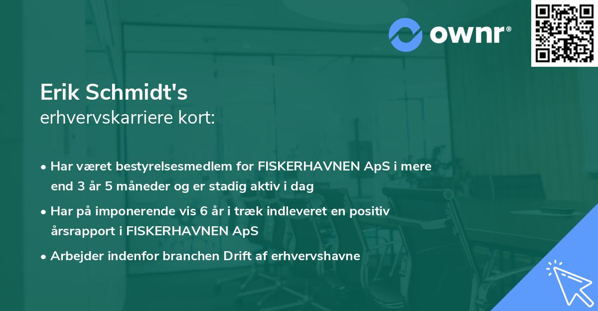 Erik Schmidt's erhvervskarriere kort