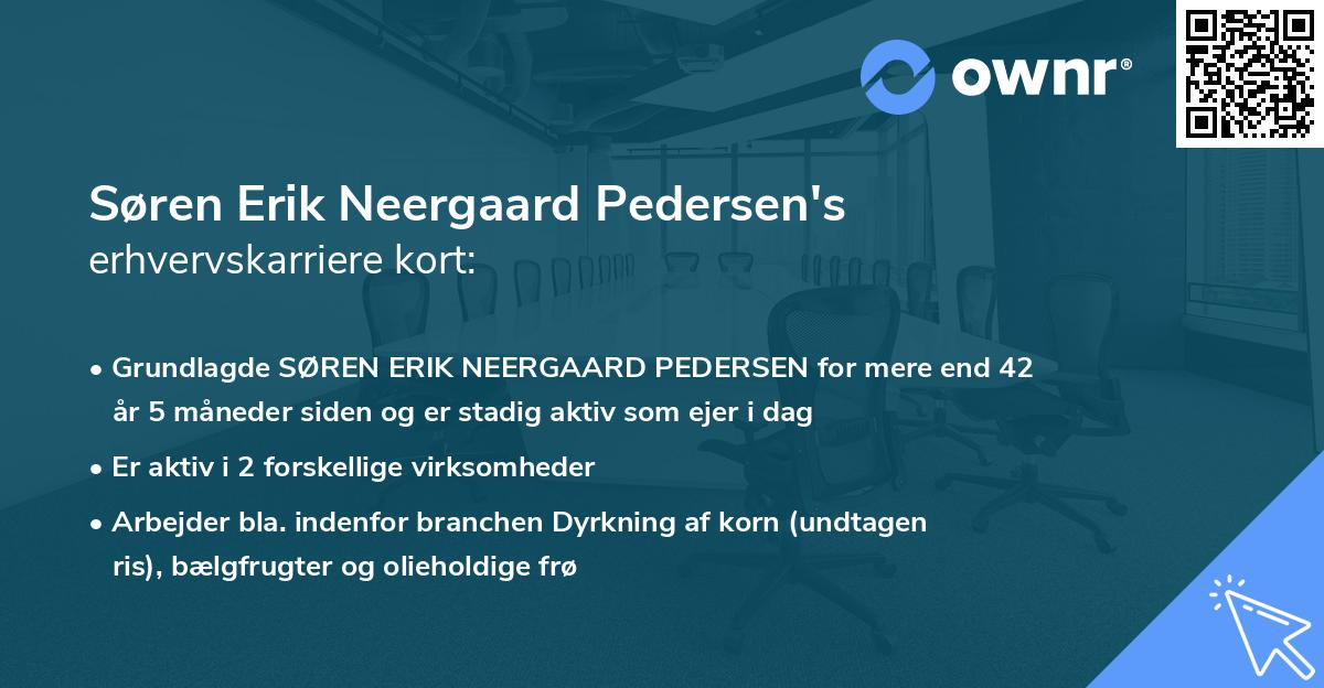 Søren Erik Neergaard Pedersen's erhvervskarriere kort