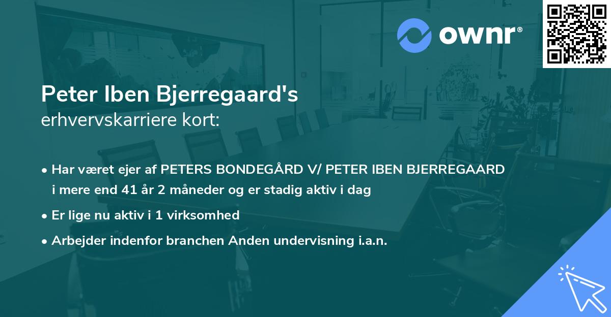 Peter Iben Bjerregaard's erhvervskarriere kort