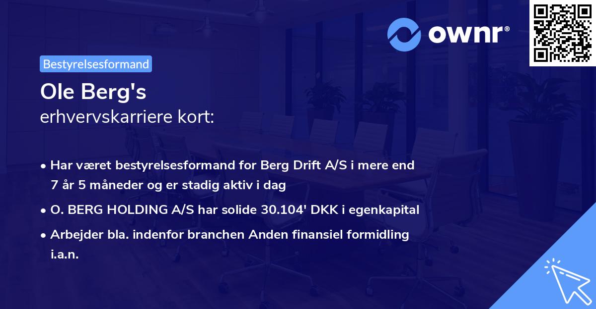 Ole Berg's erhvervskarriere kort