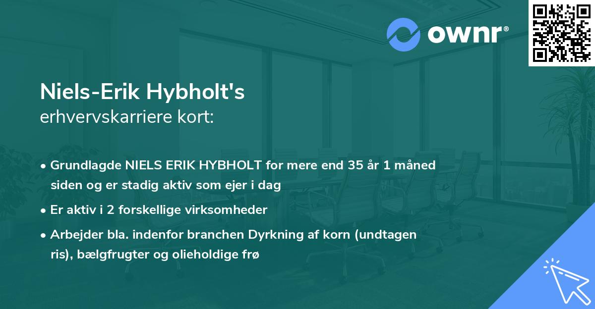 Niels-Erik Hybholt's erhvervskarriere kort