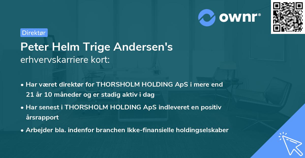 Peter Helm Trige Andersen's erhvervskarriere kort