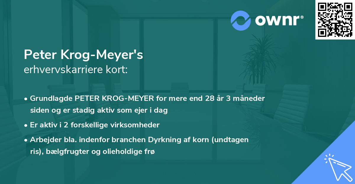 Peter Krog-Meyer's erhvervskarriere kort