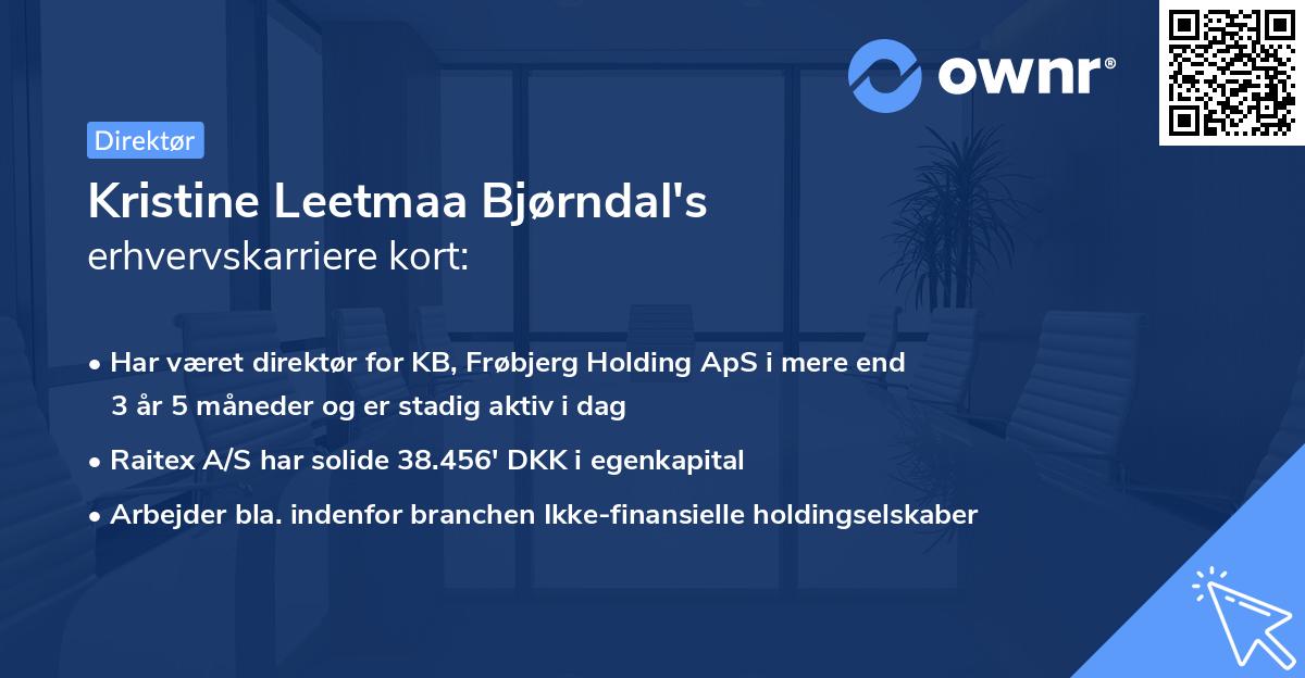 Kristine Leetmaa Bjørndal's erhvervskarriere kort