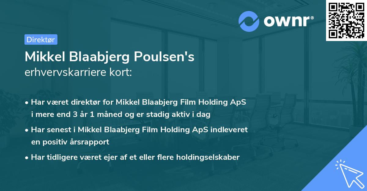 Mikkel Blaabjerg Poulsen's erhvervskarriere kort