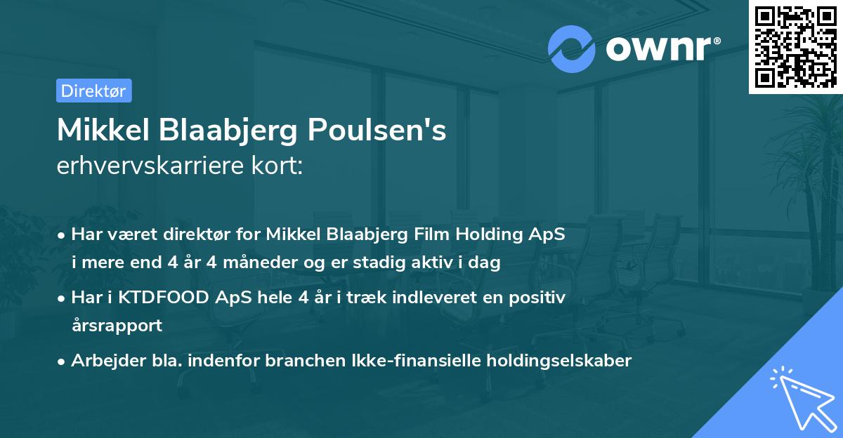 Mikkel Blaabjerg Poulsen's erhvervskarriere kort
