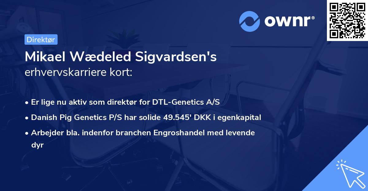 Mikael Wædeled Sigvardsen's erhvervskarriere kort