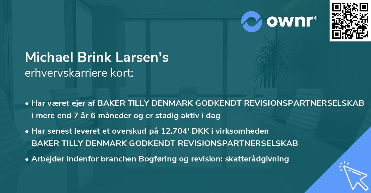 Michael Brink Larsen's erhvervskarriere kort