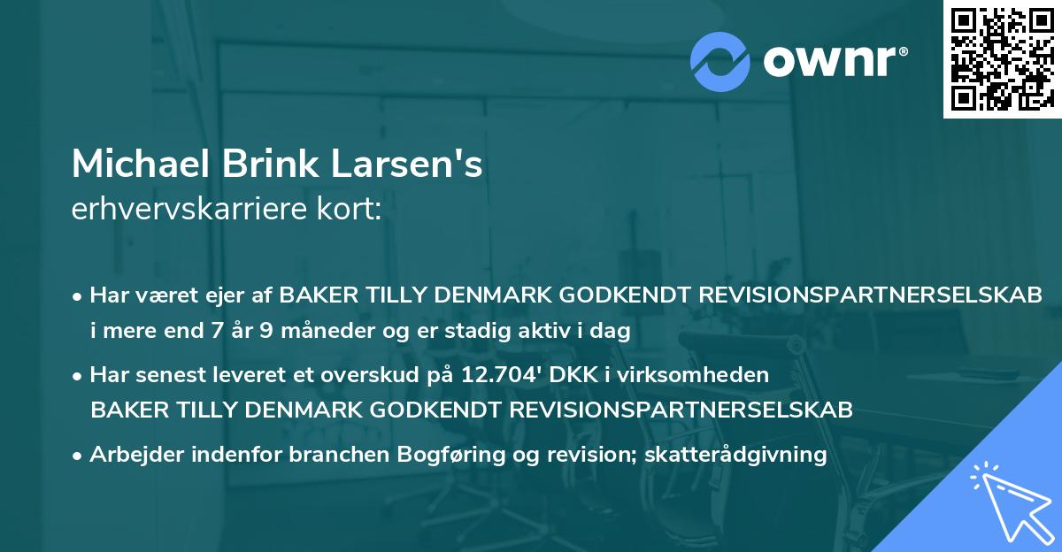 Michael Brink Larsen's erhvervskarriere kort