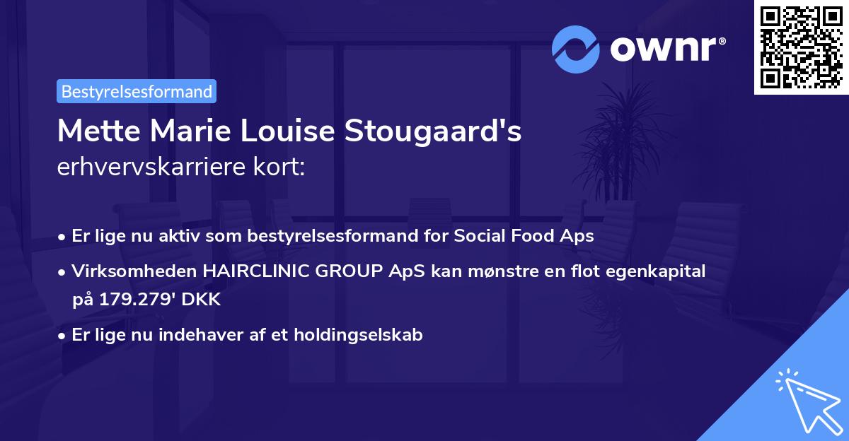 Mette Marie Louise Stougaard's erhvervskarriere kort