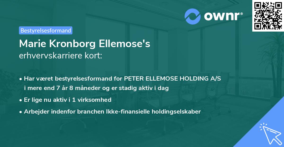 Marie Kronborg Ellemose's erhvervskarriere kort