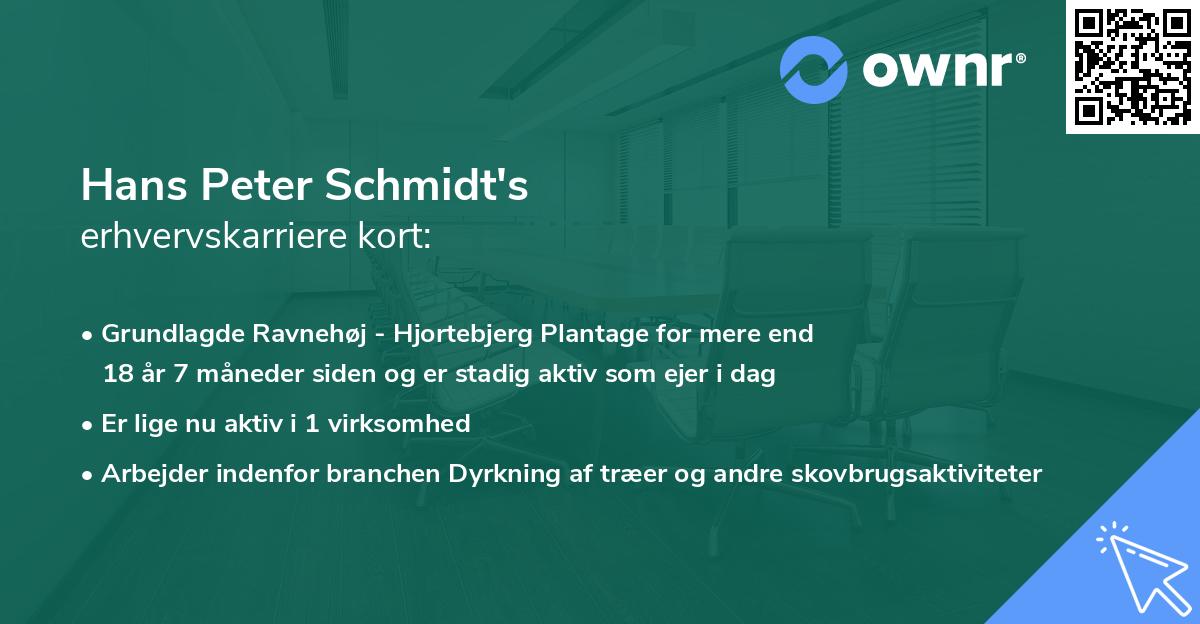 Hans Peter Schmidt's erhvervskarriere kort