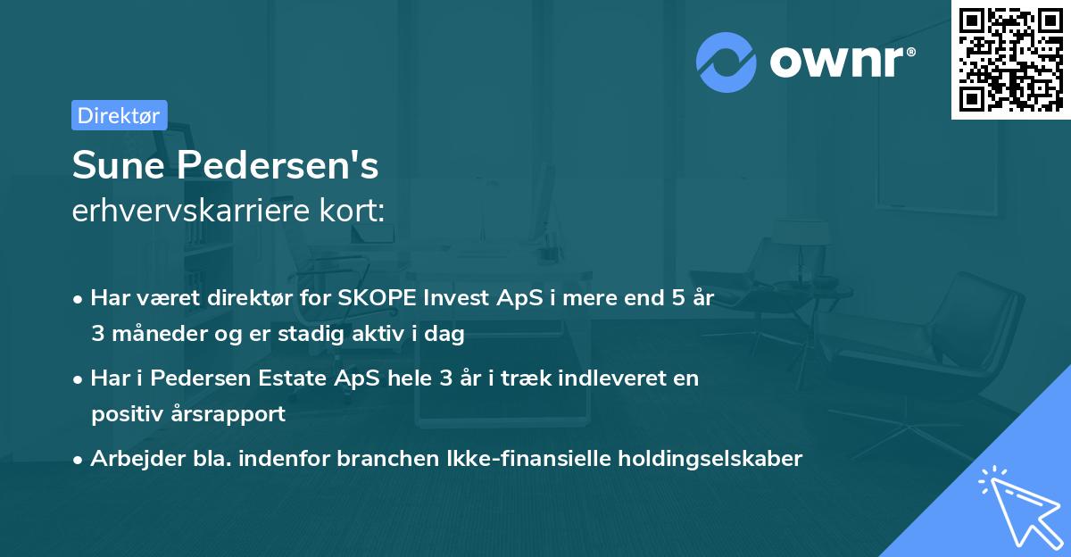 Sune Pedersen's erhvervskarriere kort
