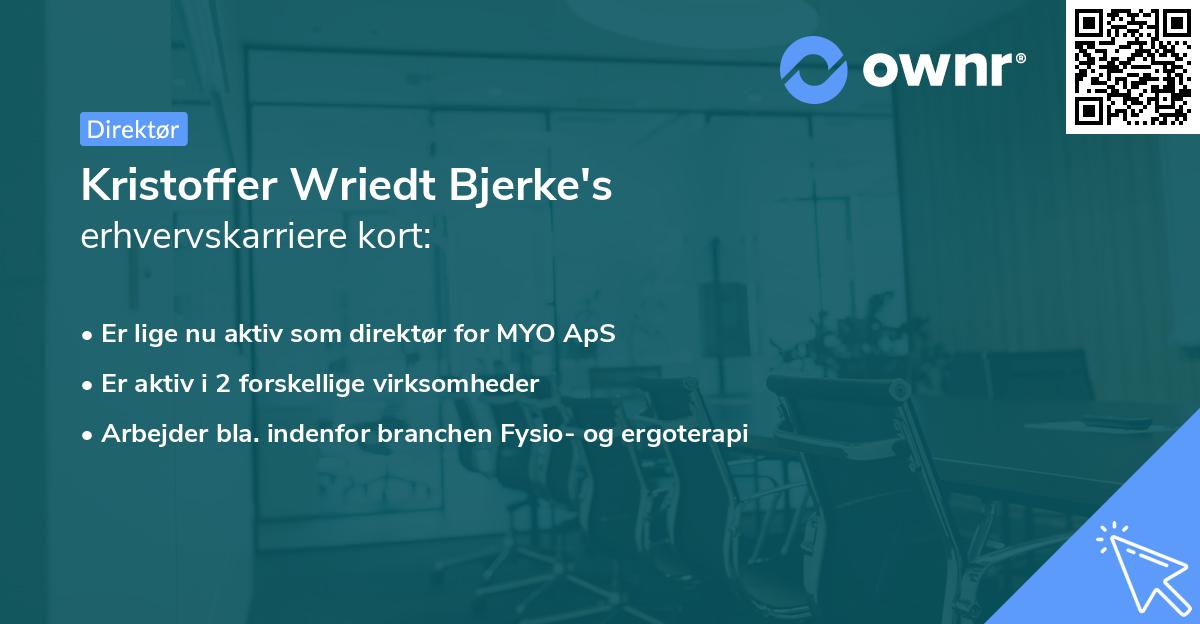 Kristoffer Wriedt Bjerke's erhvervskarriere kort