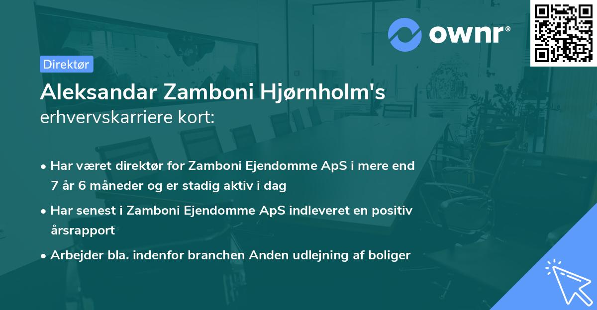 Aleksandar Zamboni Hjørnholm's erhvervskarriere kort