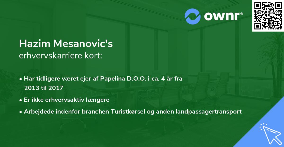 Hazim Mesanovic's erhvervskarriere kort