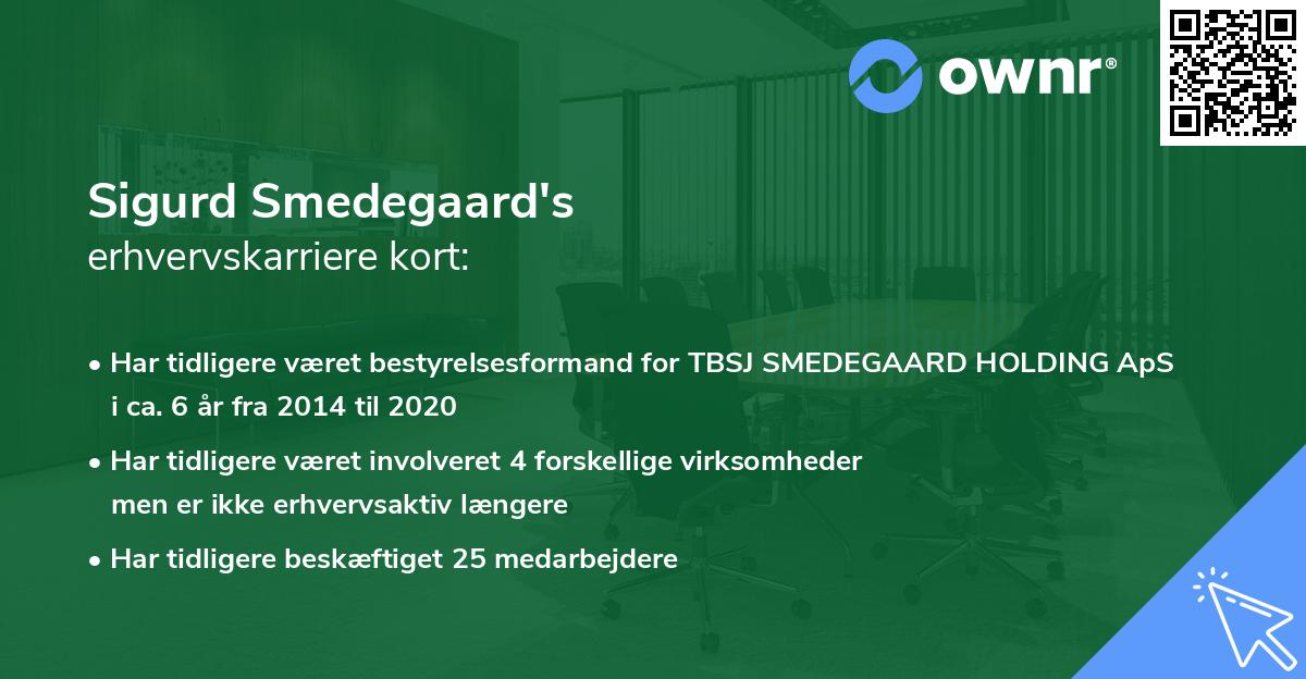 Sigurd Smedegaard's erhvervskarriere kort