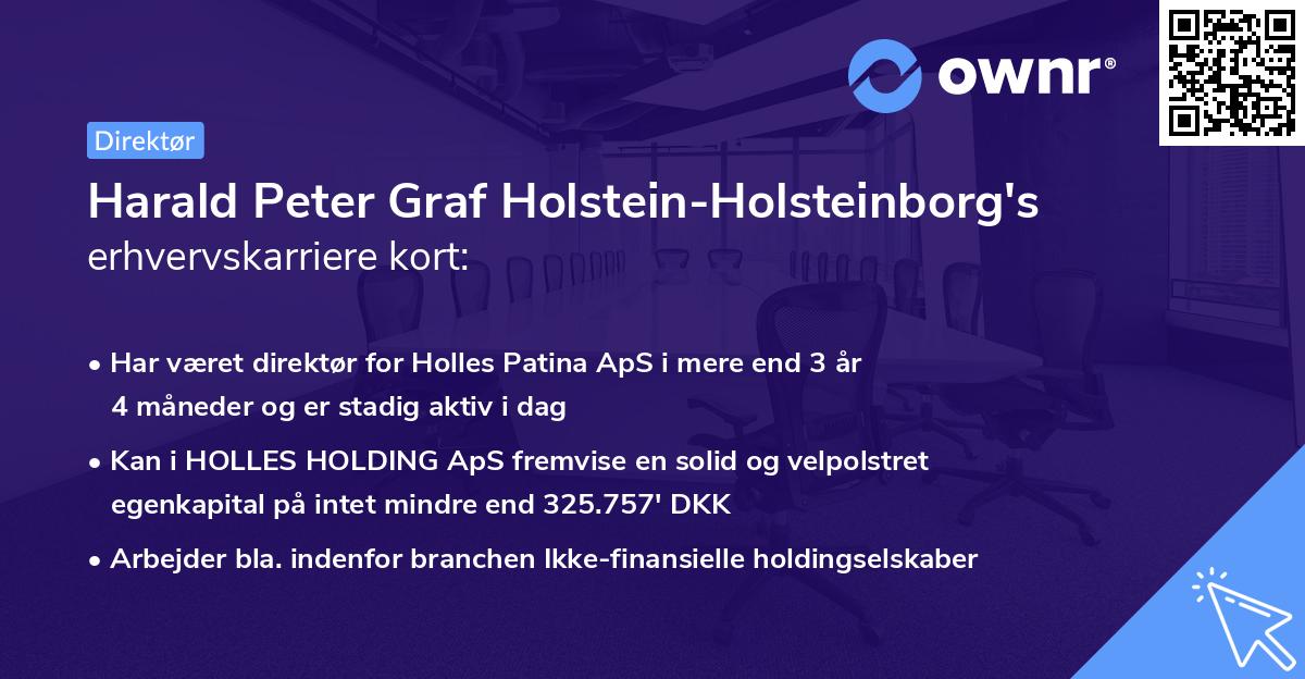 Harald Peter Graf Holstein-Holsteinborg's erhvervskarriere kort