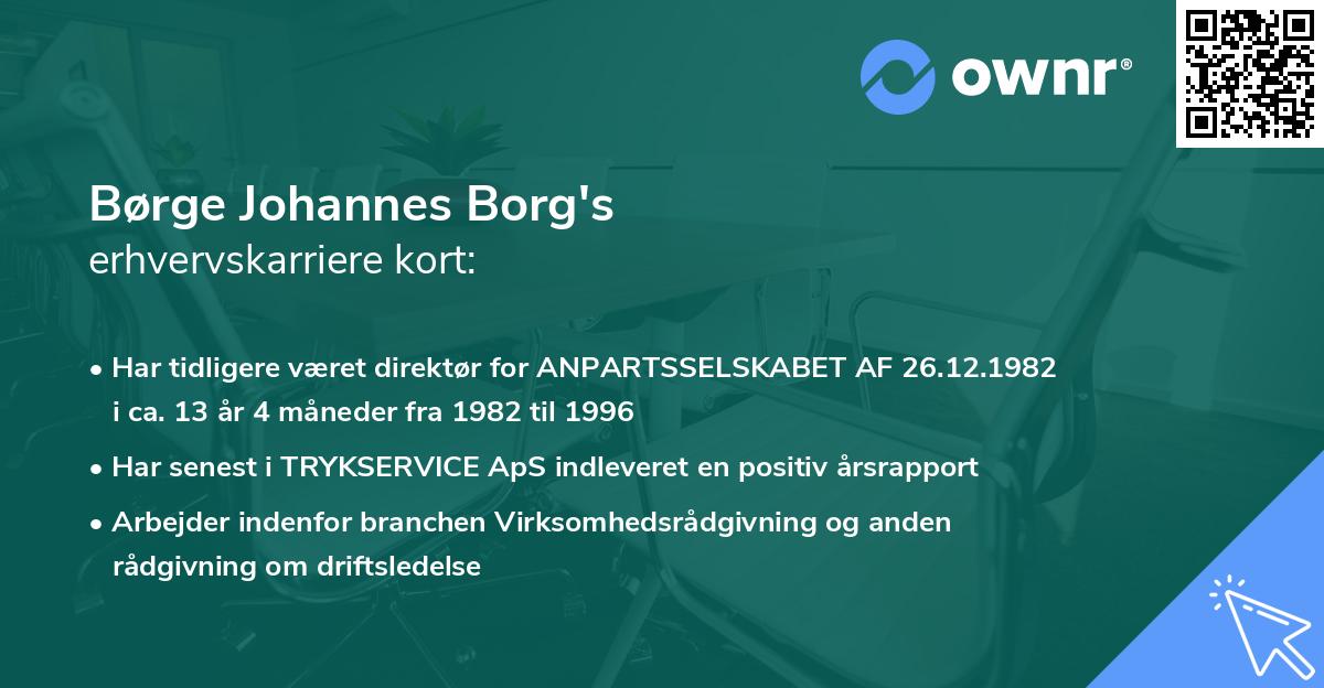 Børge Johannes Borg's erhvervskarriere kort