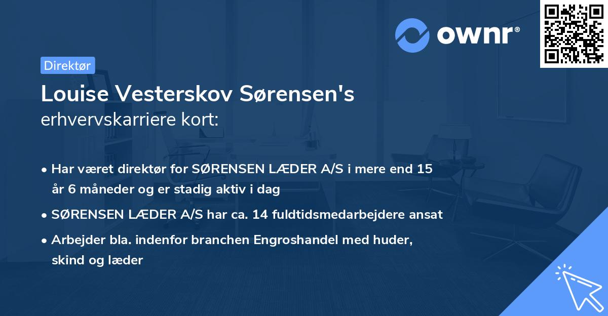 Louise Vesterskov Sørensen's erhvervskarriere kort