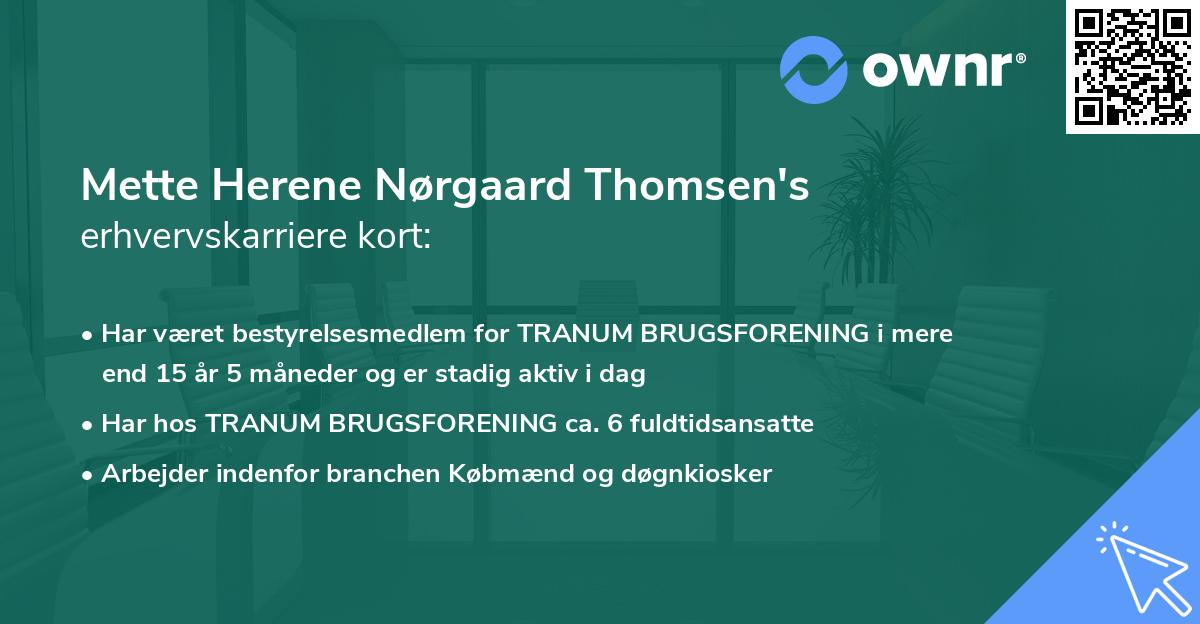 Mette Herene Nørgaard Thomsen's erhvervskarriere kort