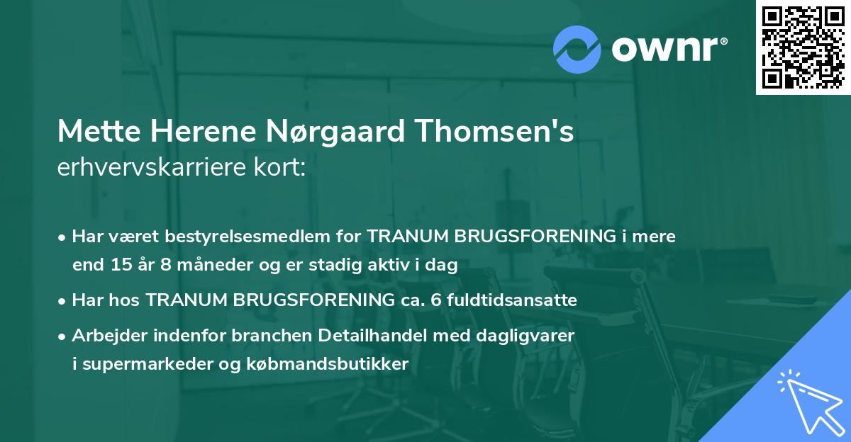 Mette Herene Nørgaard Thomsen's erhvervskarriere kort