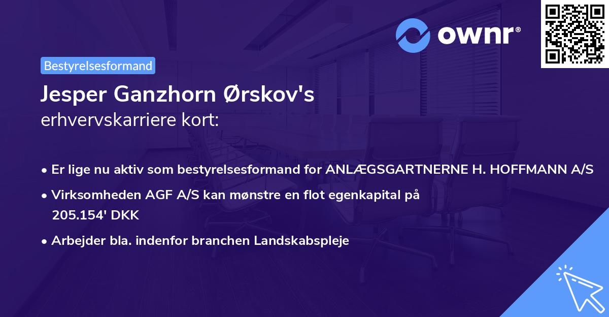 Jesper Ganzhorn Ørskov's erhvervskarriere kort