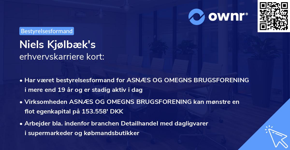 Niels Kjølbæk's erhvervskarriere kort