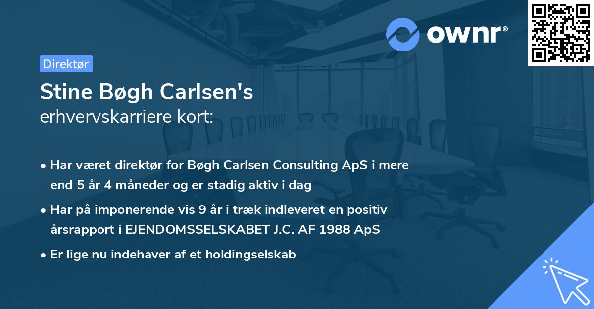 Stine Bøgh Carlsen's erhvervskarriere kort