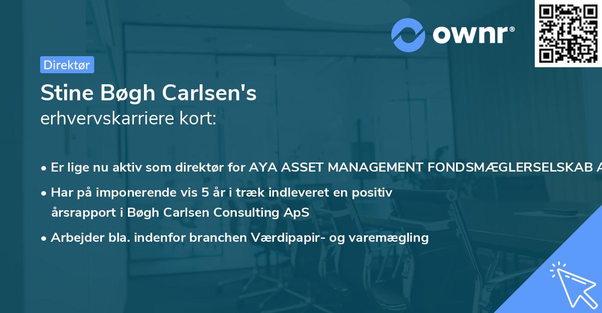 Stine Bøgh Carlsen's erhvervskarriere kort