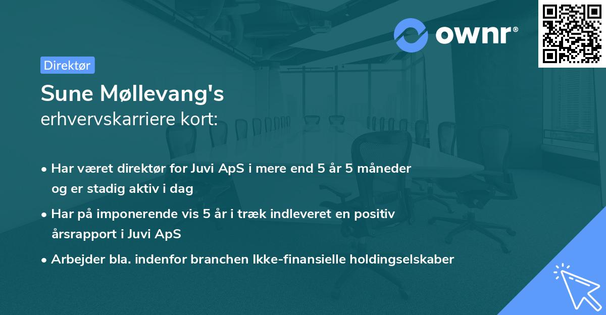 Sune Møllevang's erhvervskarriere kort