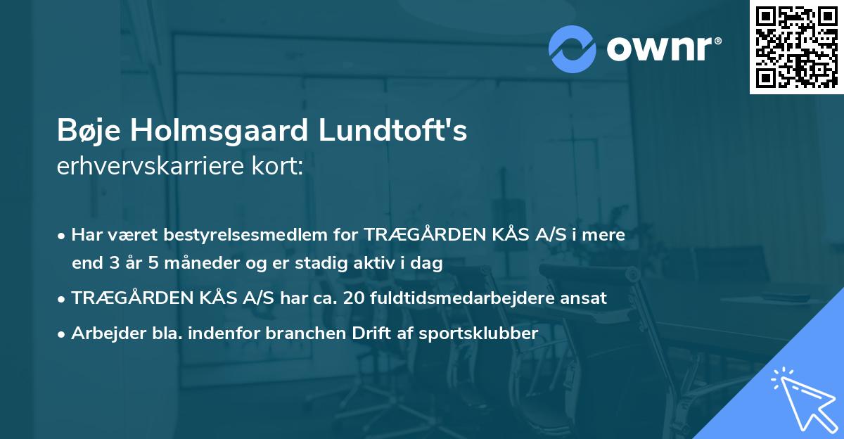 Bøje Holmsgaard Lundtoft's erhvervskarriere kort