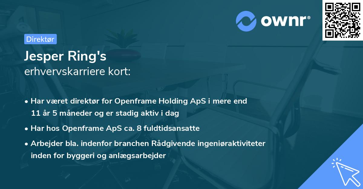 Jesper Ring's erhvervskarriere kort
