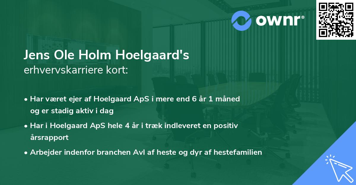 Jens Ole Holm Hoelgaard's erhvervskarriere kort