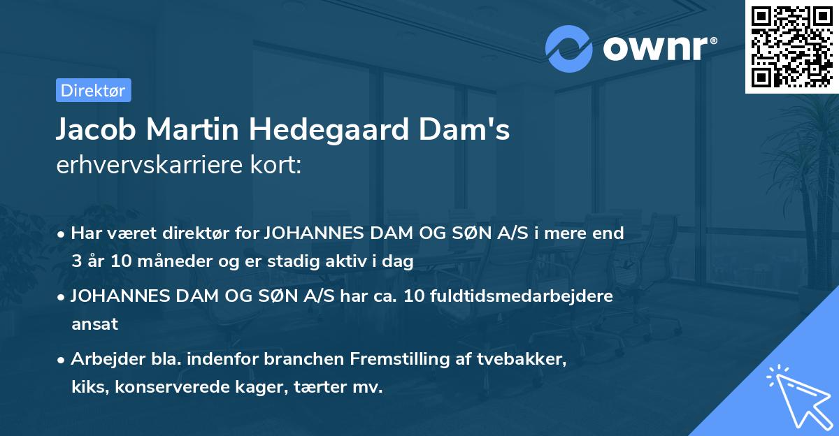 Jacob Martin Hedegaard Dam's erhvervskarriere kort