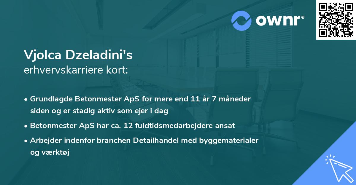 Vjolca Dzeladini's erhvervskarriere kort