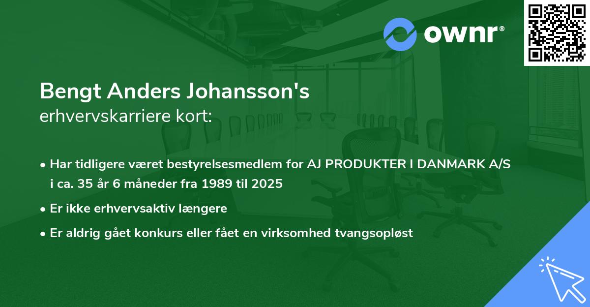 Bengt Anders Johansson's erhvervskarriere kort