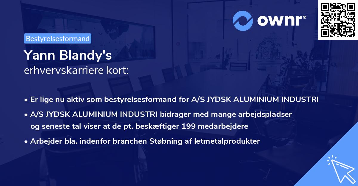 Yann Blandy's erhvervskarriere kort
