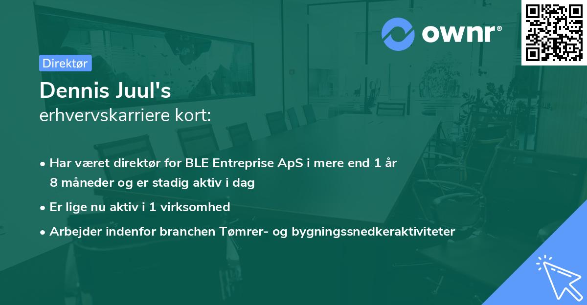 Dennis Juul's erhvervskarriere kort