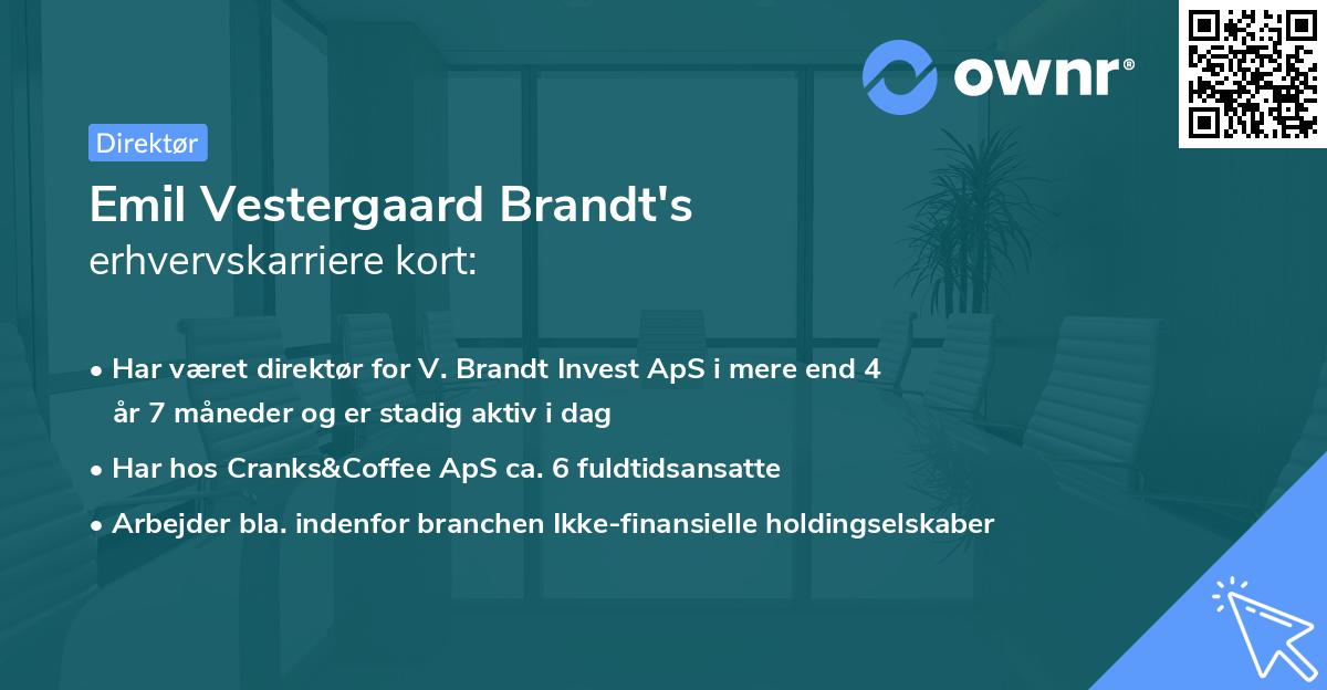 Emil Vestergaard Brandt's erhvervskarriere kort