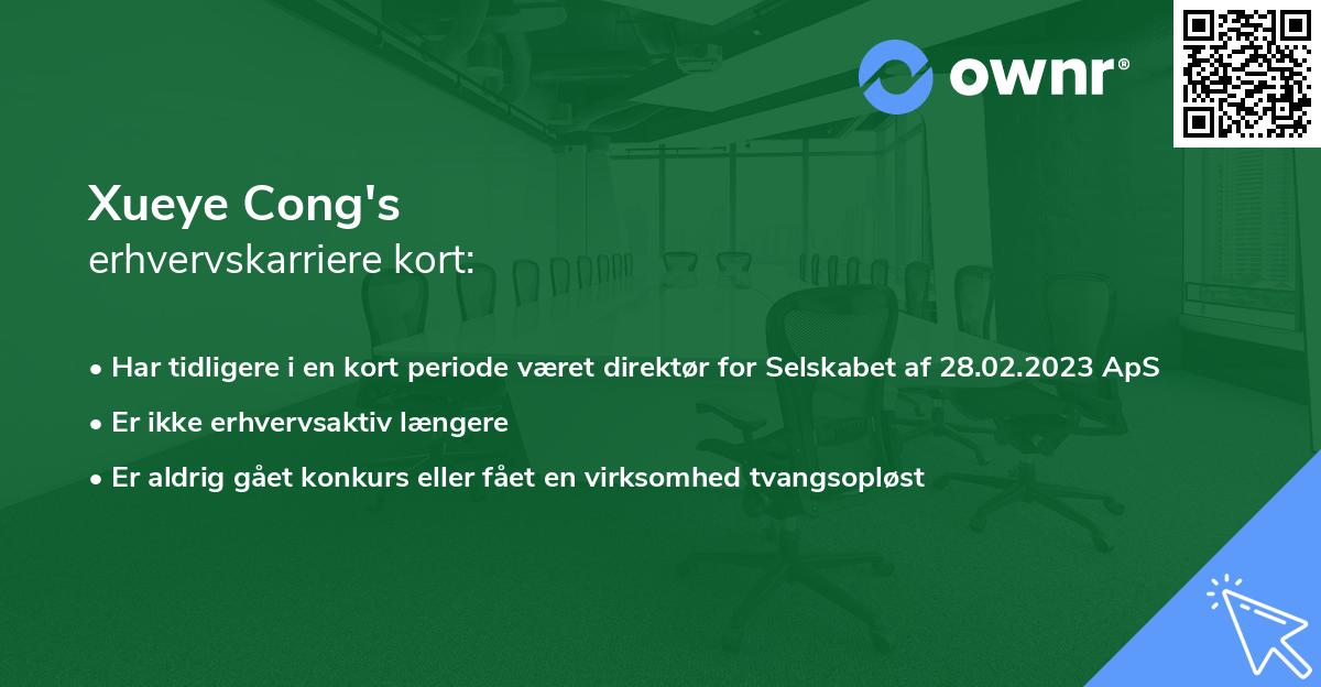 Xueye Cong's erhvervskarriere kort