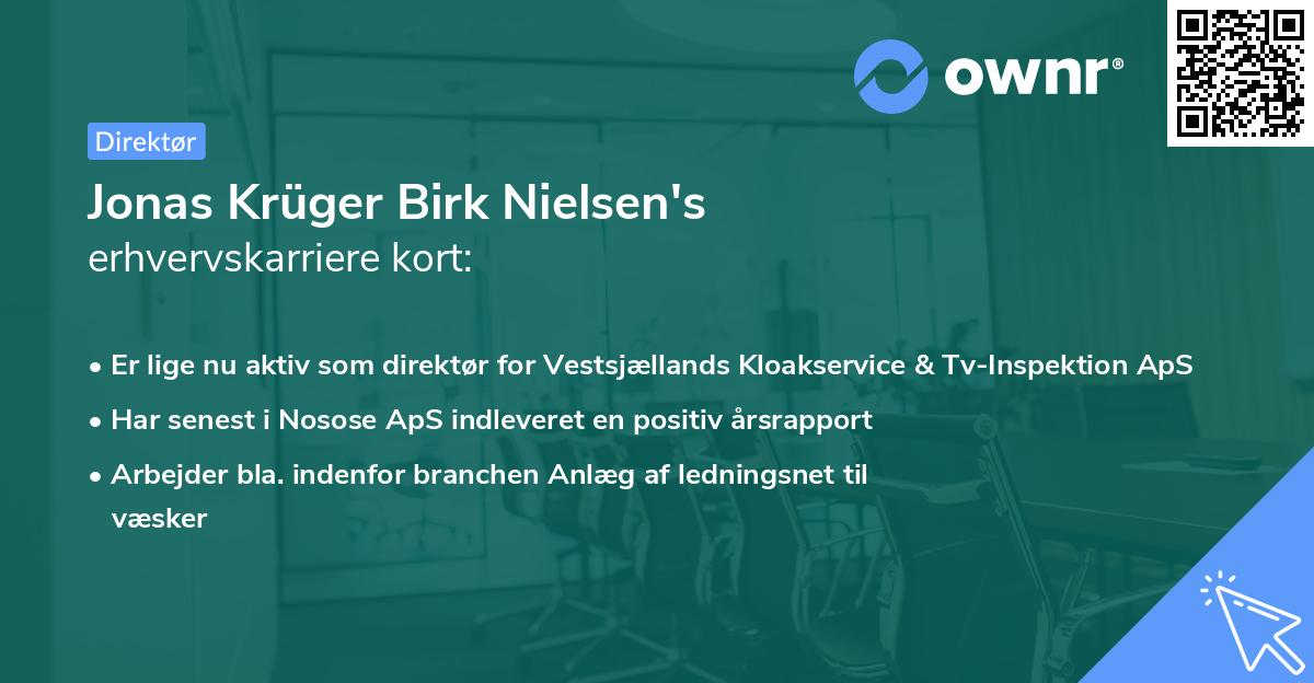 Jonas Krüger Birk Nielsen's erhvervskarriere kort