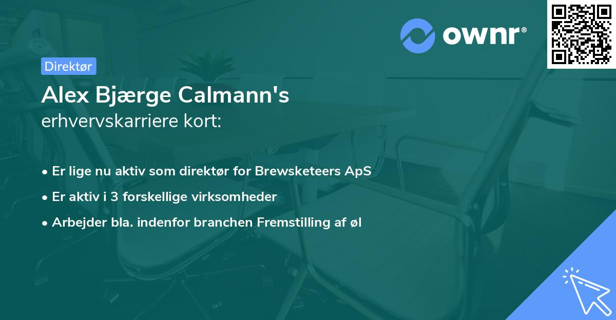 Alex Bjærge Calmann's erhvervskarriere kort